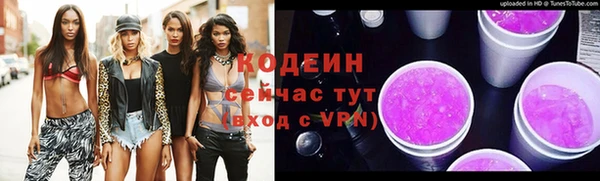 крисы Елабуга