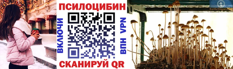 Псилоцибиновые грибы Psilocybine cubensis где купить наркоту Пущино